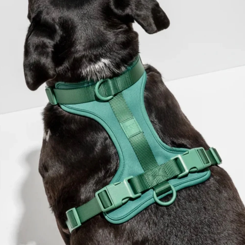 Wild One Dog Harness - Medium - Spruce Green